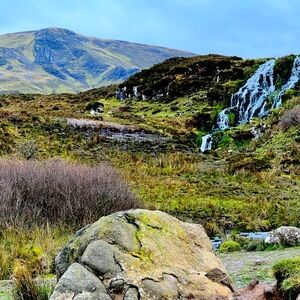 Meet your Posher, C. alexandra